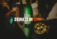 World Of Beer – Drink It Intern